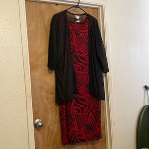 Lularoe Julia dress and coverup